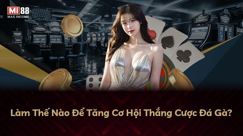 Làm Thế Nào Để Tăng Cơ Hội Thắng Cược Đá Gà?