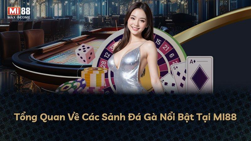 Tổng Quan Về Các Sảnh Đá Gà Nổi Bật Tại MI88